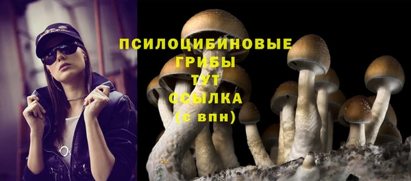 индика Белоозёрский