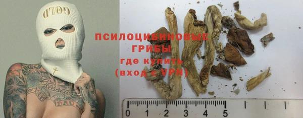 ешки Беломорск