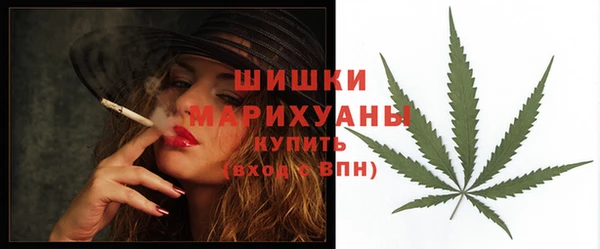 индика Белоозёрский