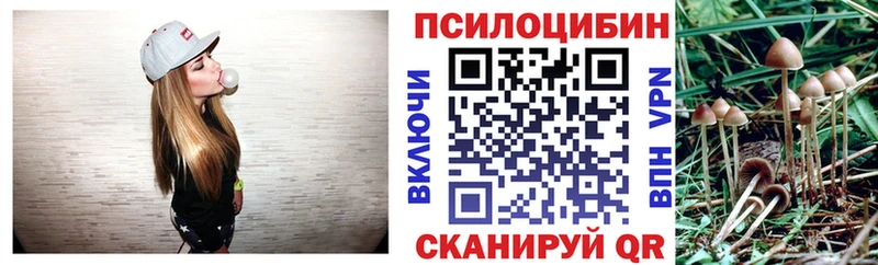 Купить закладки  Выборг  Галлюциногенные грибы мухоморы 